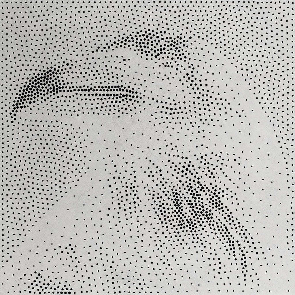 Raven reusable Mylar stencil