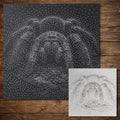 Tarantula reusable Mylar stencil
