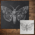 Emperor Moth reusable Mylar stencil