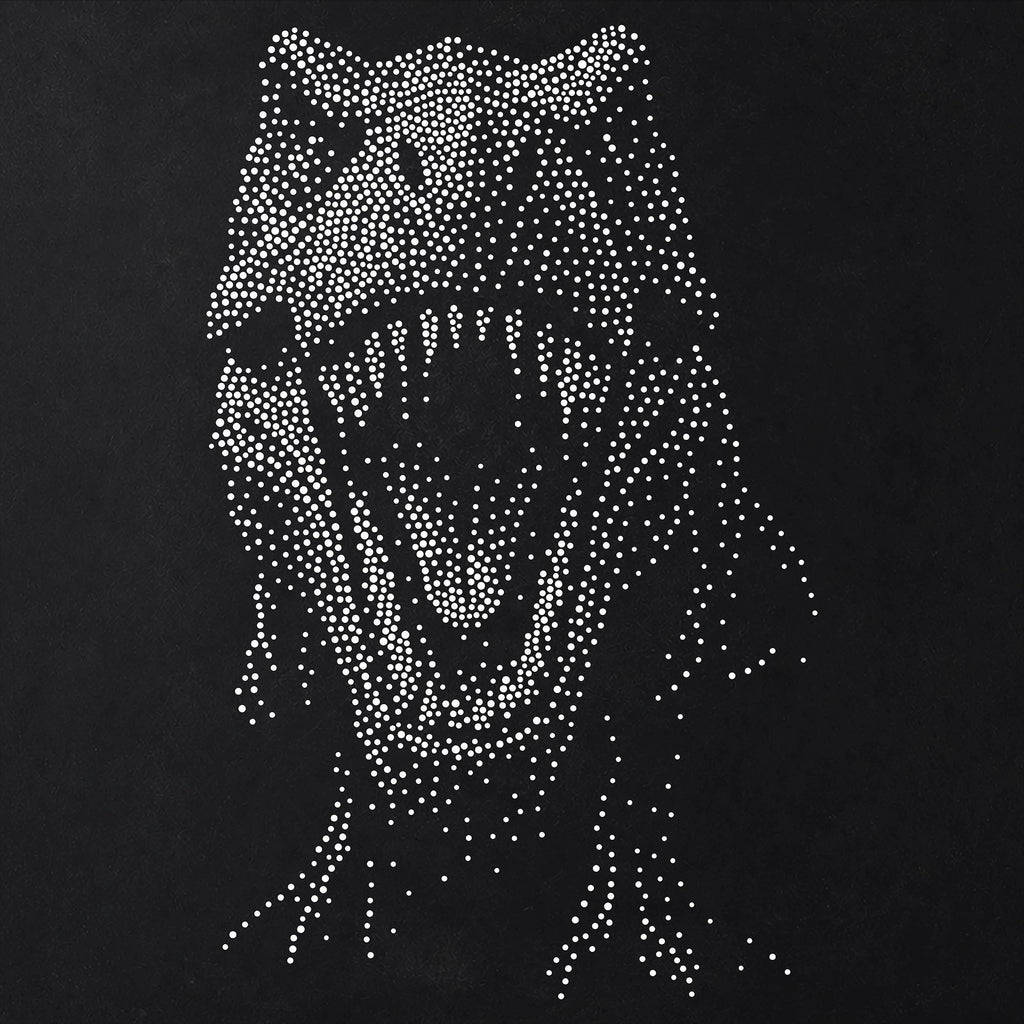 T Rex Dinosaur reusable Mylar stencil