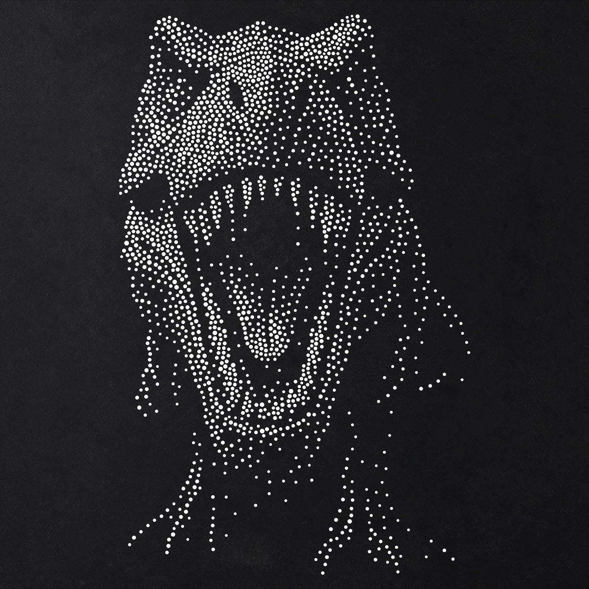 T Rex Dinosaur reusable Mylar stencil