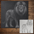 Realistic Lion reusable Mylar stencil