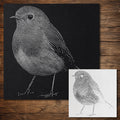 Robin Bird reusable Mylar stencil