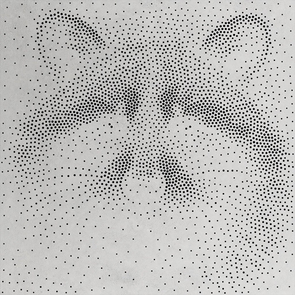Raccoon reusable Mylar stencil