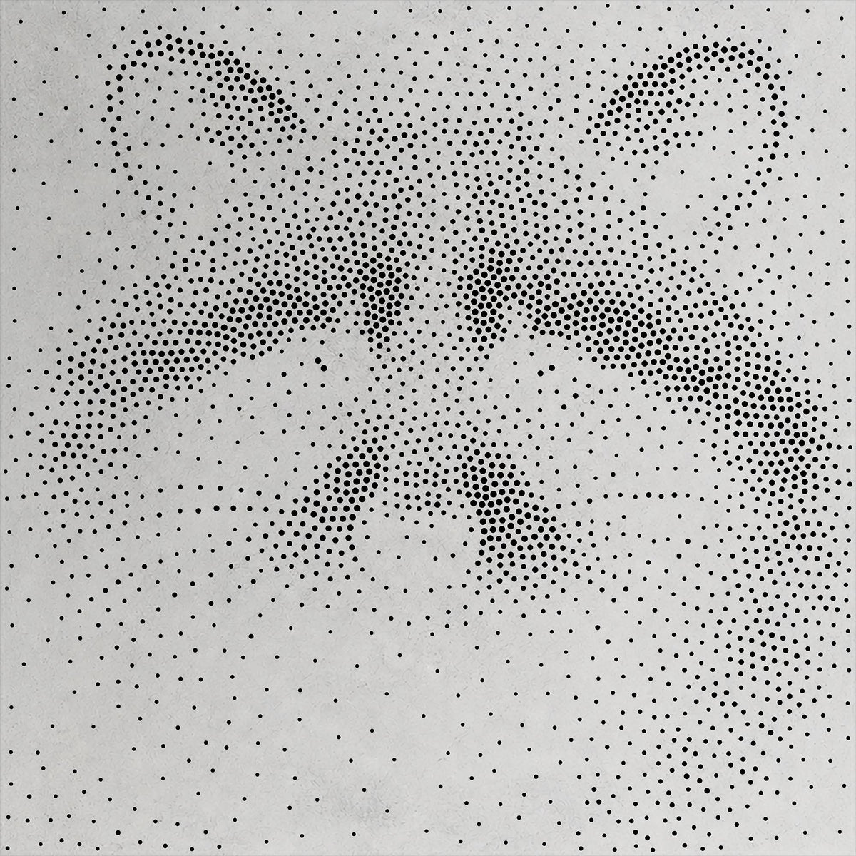 Raccoon reusable Mylar stencil