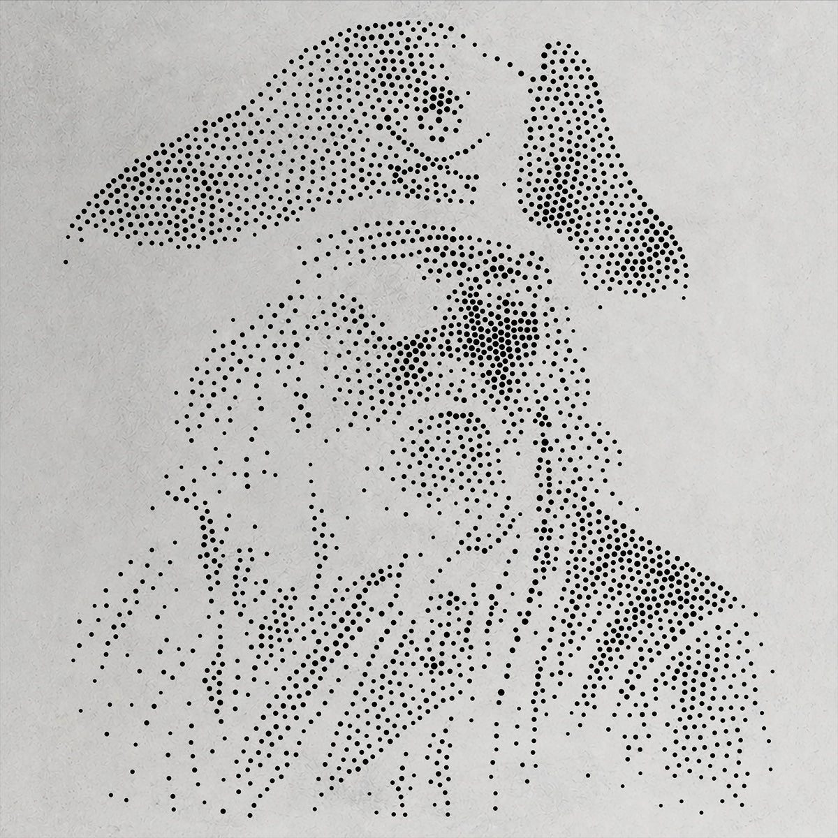 Pirate Face Portrait reusable Mylar stencil