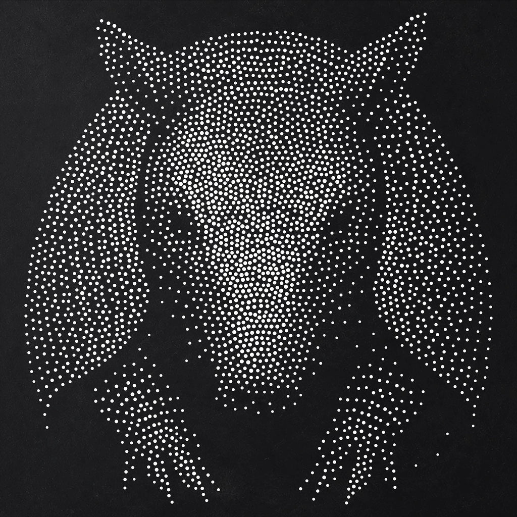 Armadillo reusable Mylar stencil