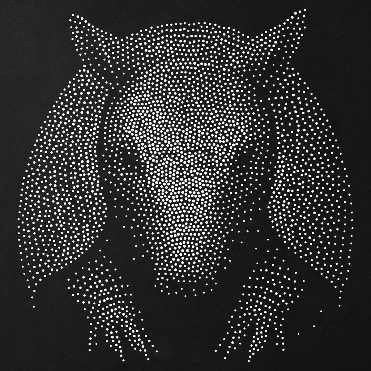 Armadillo reusable Mylar stencil