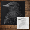 Starling Bird reusable Mylar stencil
