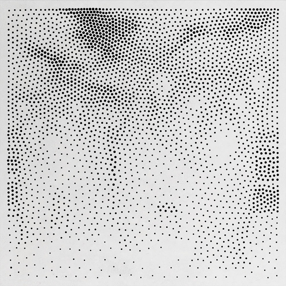 Polar Bear Stipple Art Mylar reusable Mylar stencil