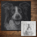 Border Collie Dog reusable Mylar stencil