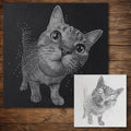 Tabby Cat Close Up reusable Mylar stencil