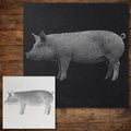 Pig Side Profile reusable Mylar stencil