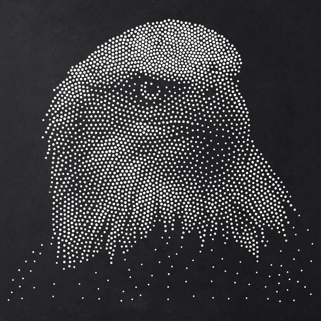 Bald Eagle Portrait reusable Mylar stencil