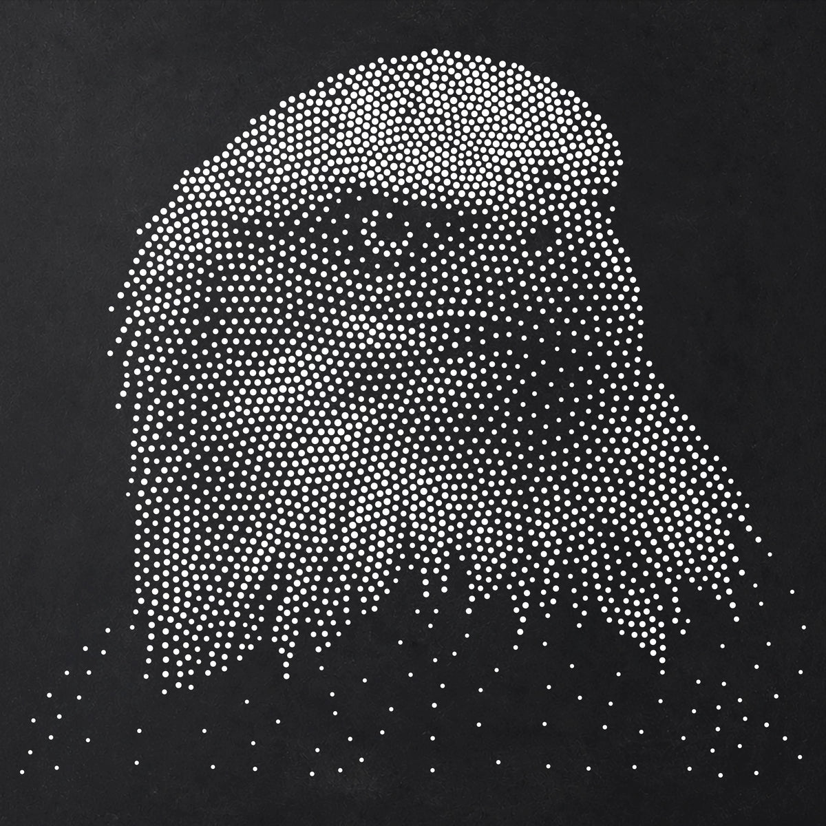 Bald Eagle Portrait reusable Mylar stencil