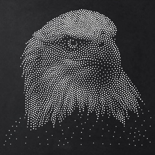 Bald Eagle Portrait reusable Mylar stencil