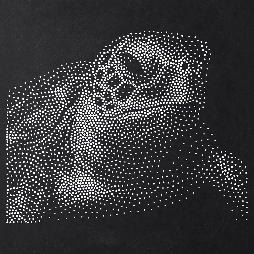 Sea Turtle Portrait reusable Mylar stencil