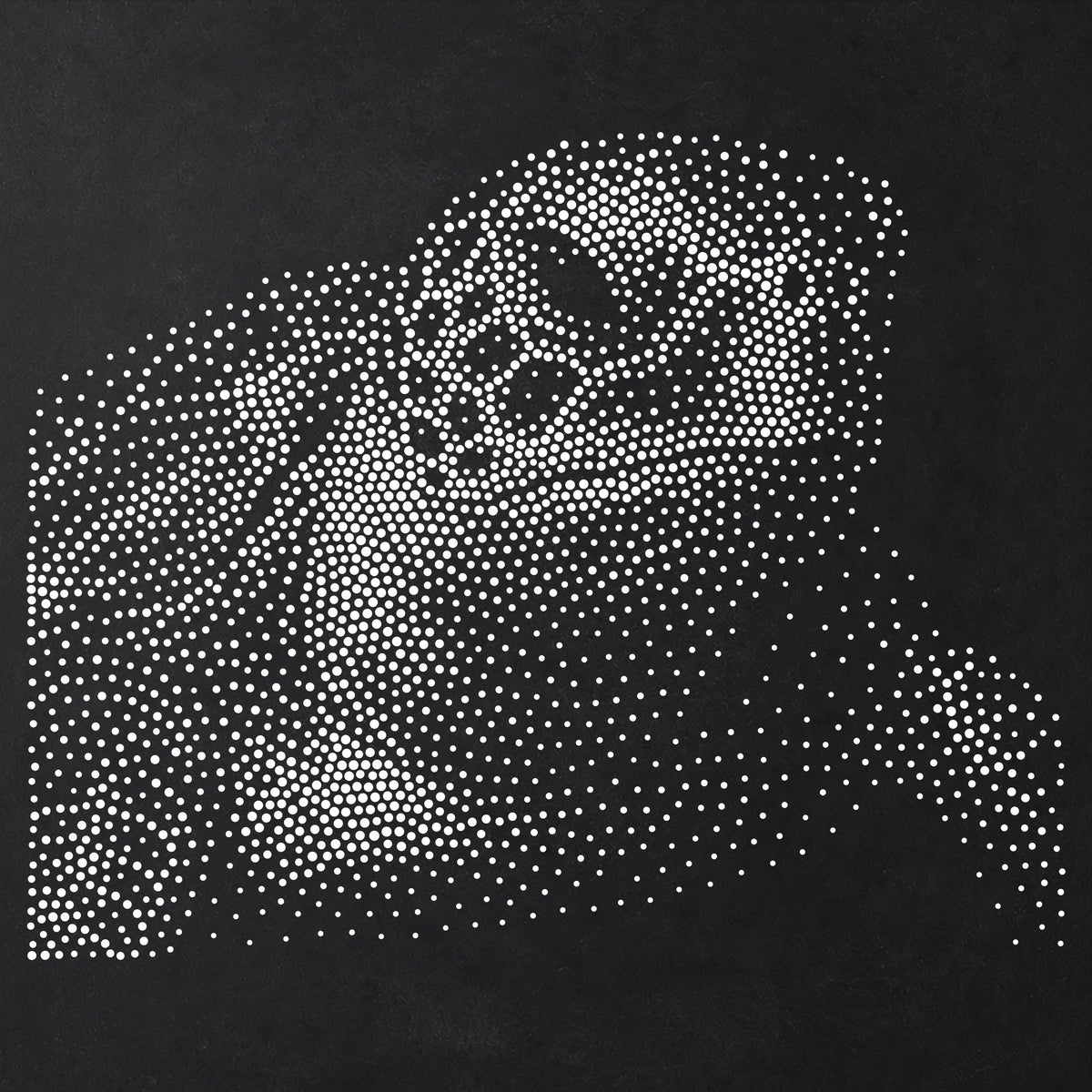 Sea Turtle Portrait reusable Mylar stencil