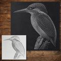 Kingfisher Bird reusable Mylar stencil