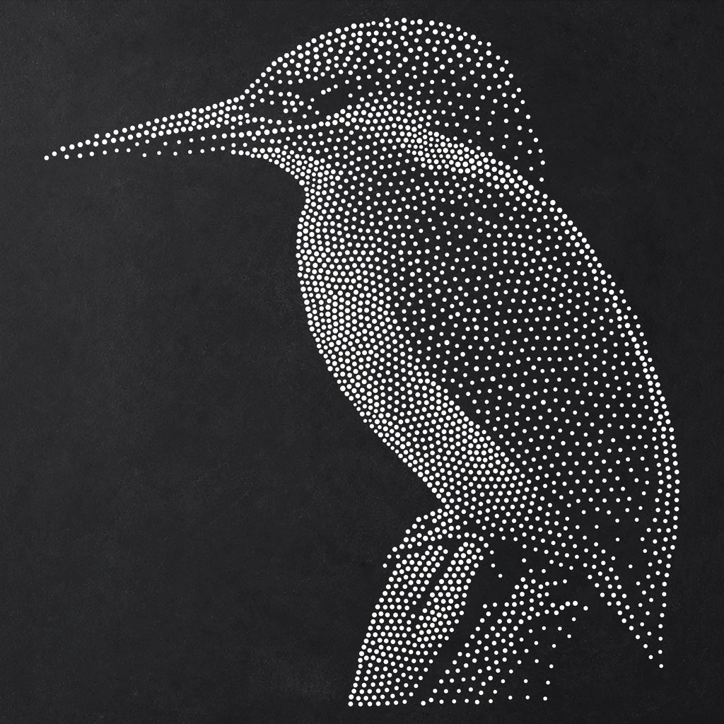 Kingfisher Bird reusable Mylar stencil