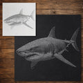 Great White Shark reusable Mylar stencil