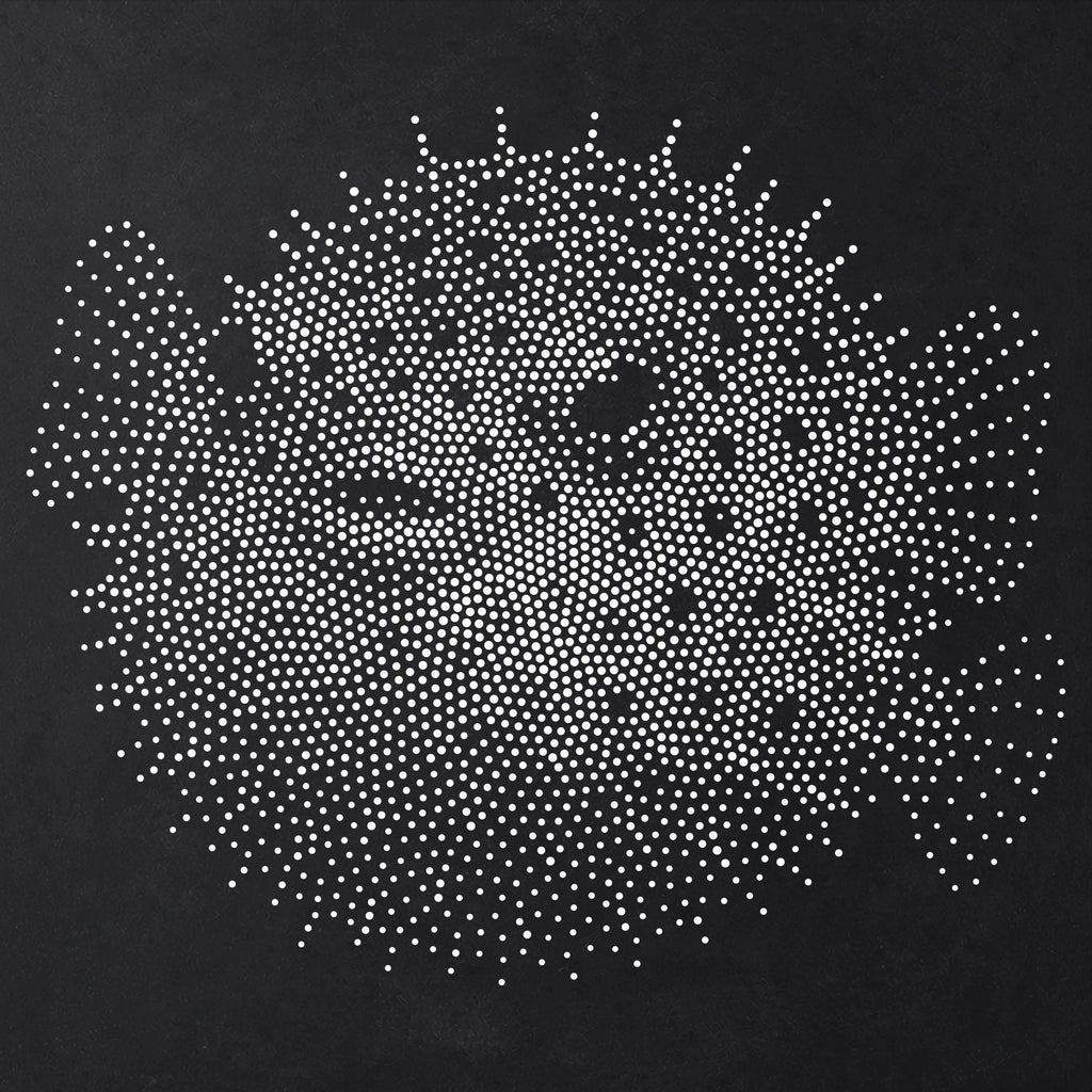 Pufferfish Fish reusable Mylar stencil
