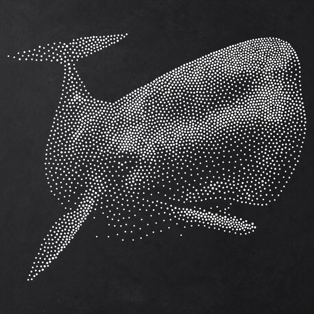 Sperm Whale reusable Mylar stencil