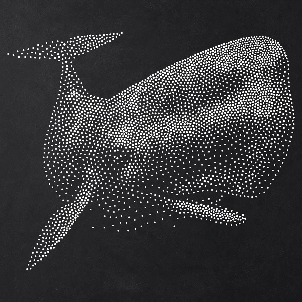 Sperm Whale reusable Mylar stencil