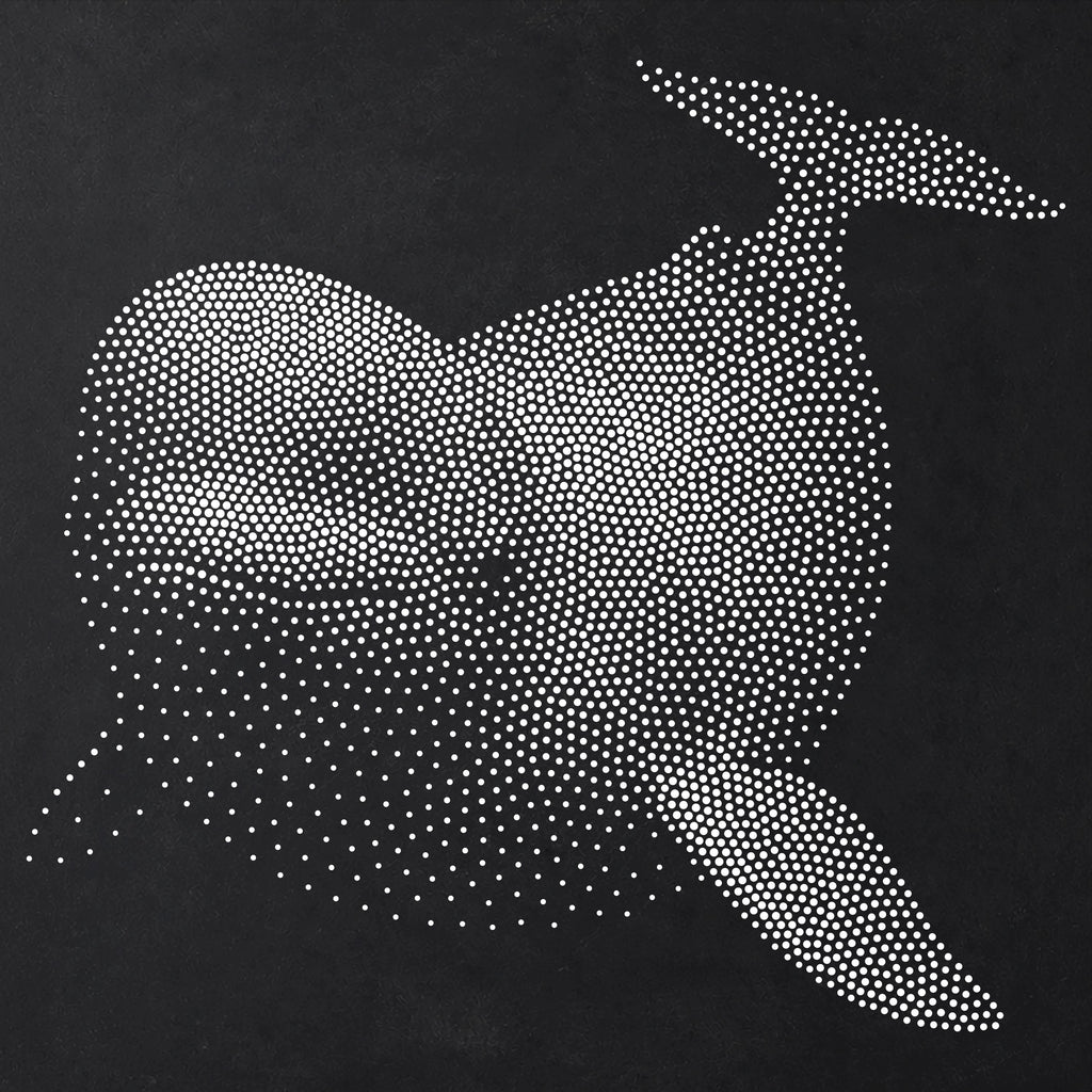 Beluga Whale reusable Mylar stencil