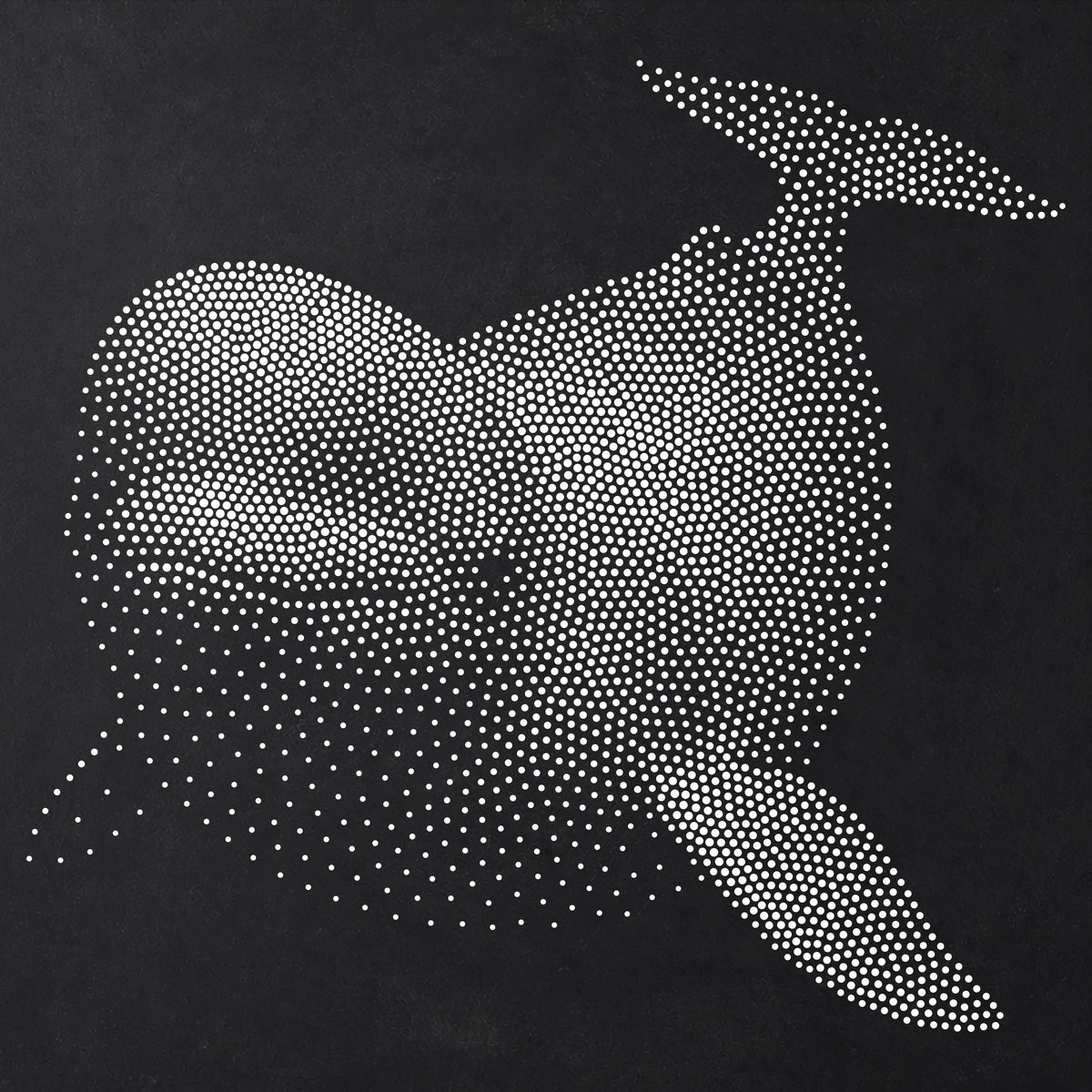 Beluga Whale reusable Mylar stencil