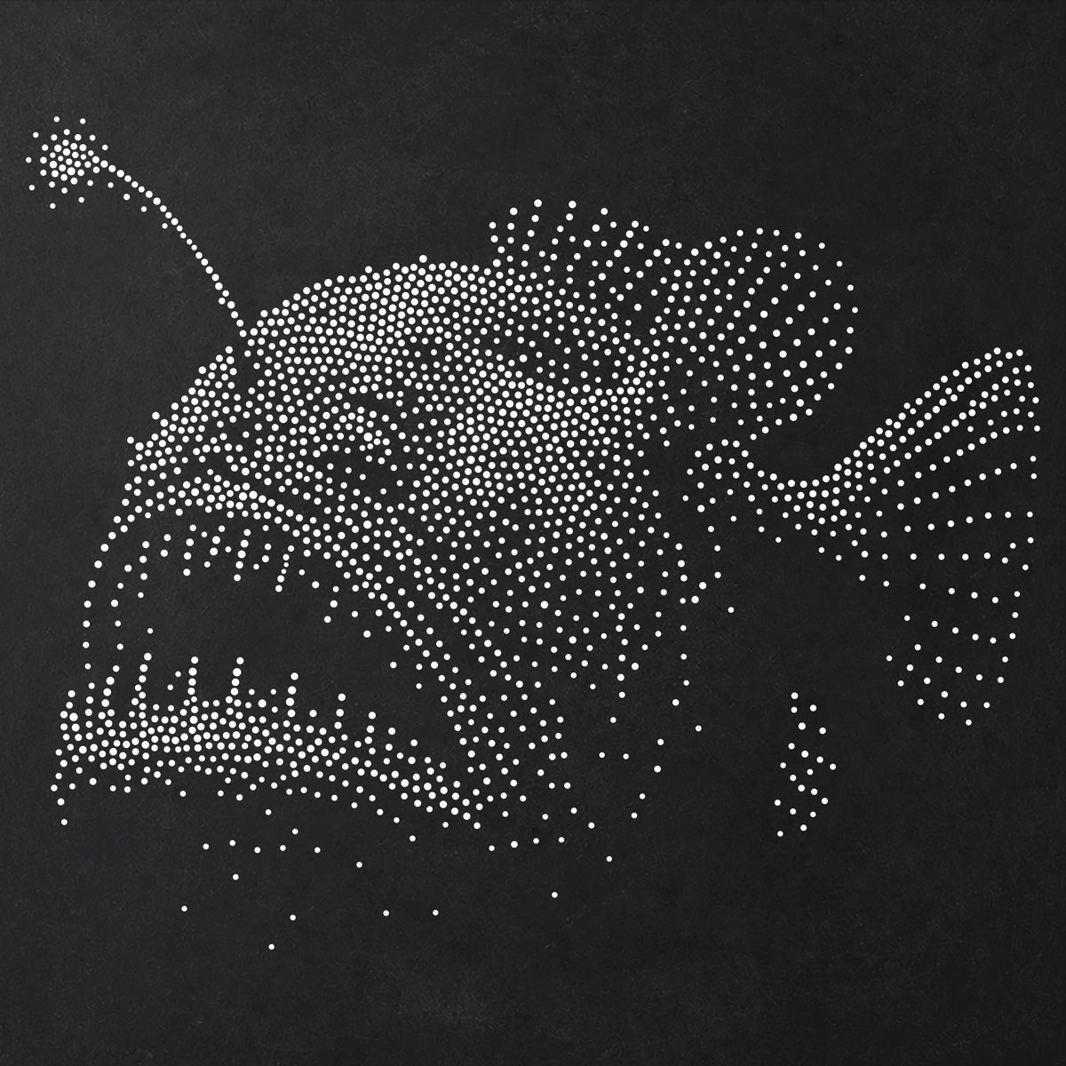 Anglerfish Fish reusable Mylar stencil