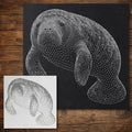 Manatee reusable Mylar stencil