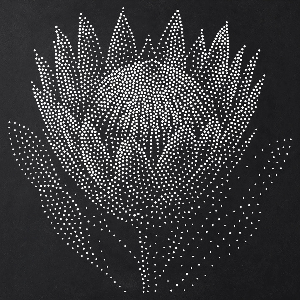 Protea Flower reusable Mylar stencil