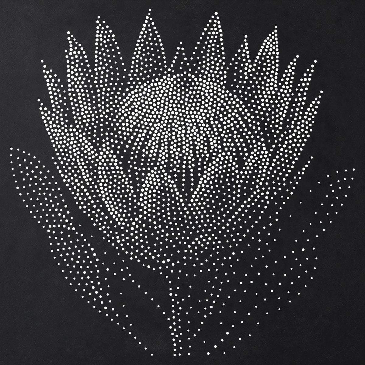 Protea Flower reusable Mylar stencil