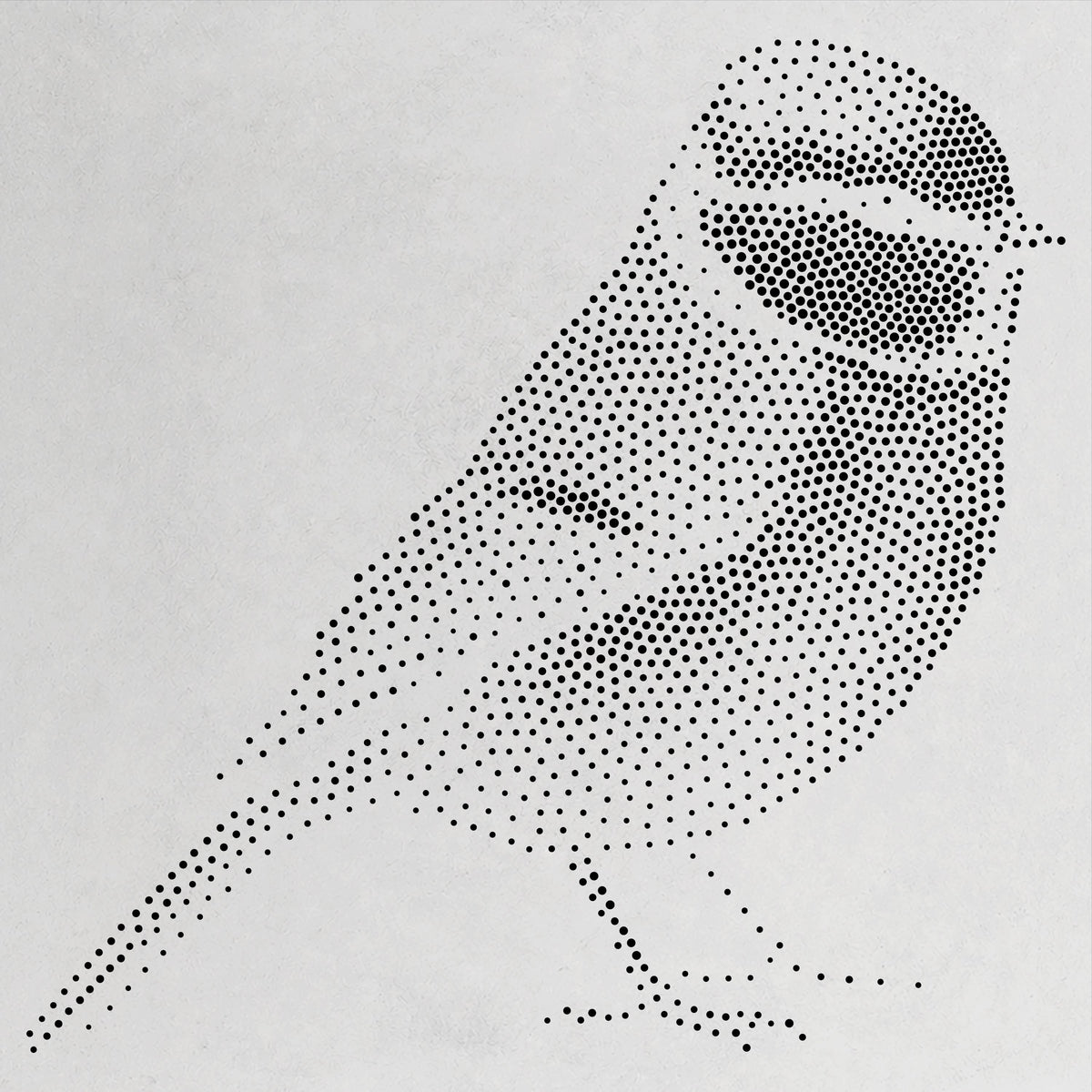 Blue Tit Bird reusable Mylar stencil