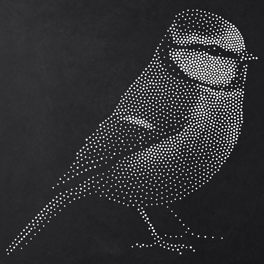 Blue Tit Bird reusable Mylar stencil