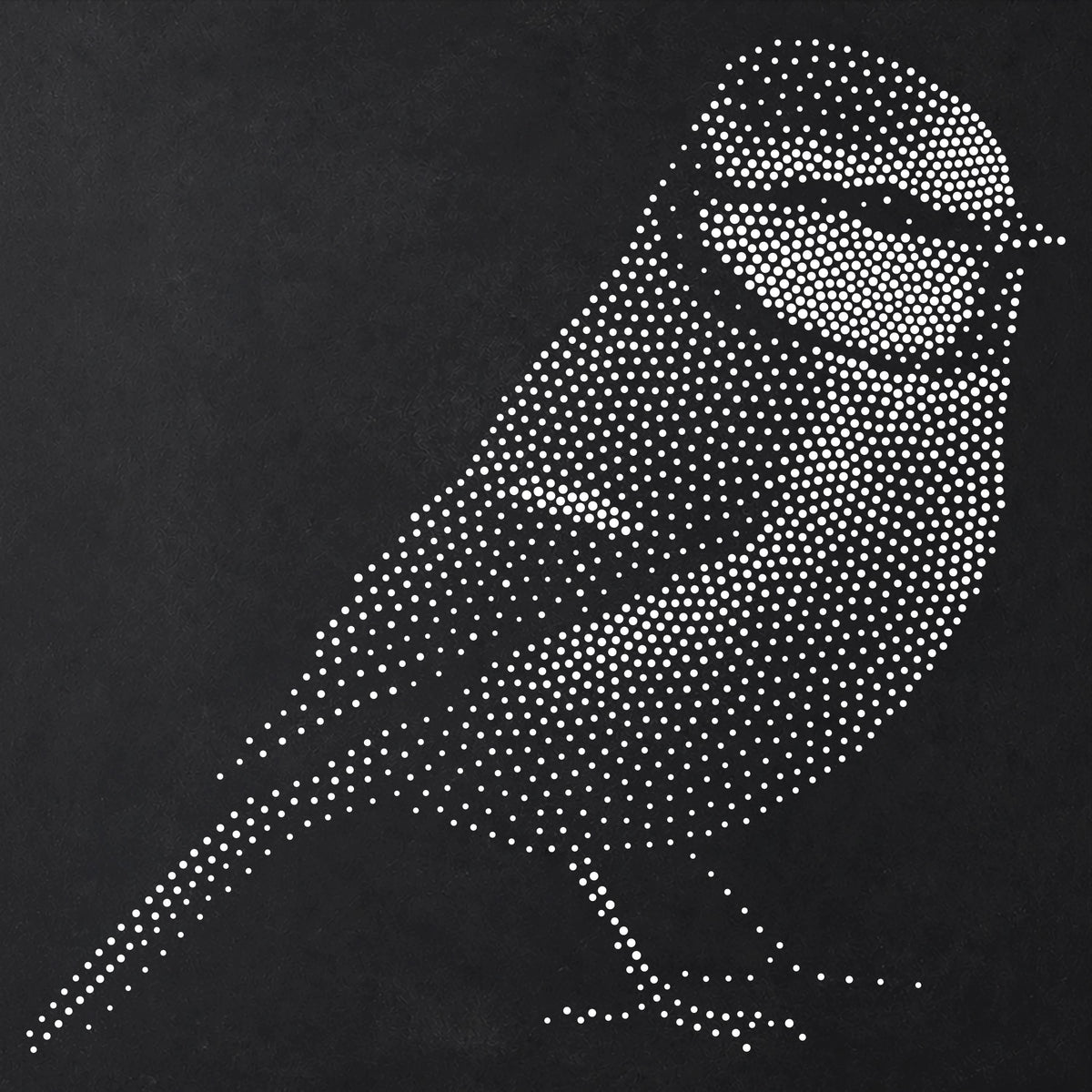Blue Tit Bird reusable Mylar stencil