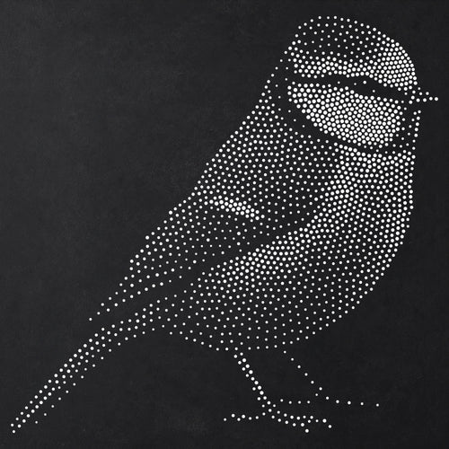 Blue Tit Bird reusable Mylar stencil