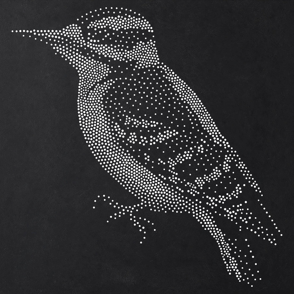 Woodpecker Bird reusable Mylar stencil