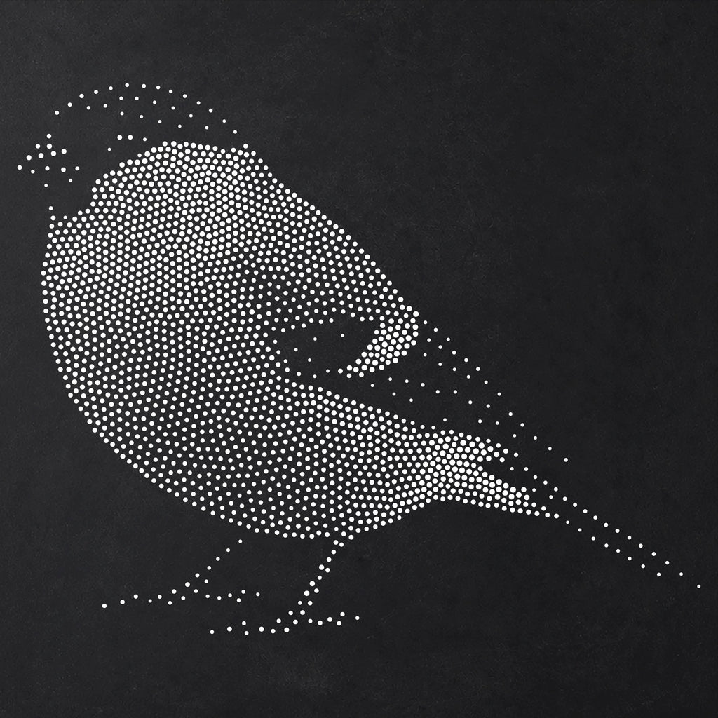 Bullfinch Bird reusable Mylar stencil