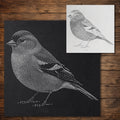 Chaffinch Bird reusable Mylar stencil