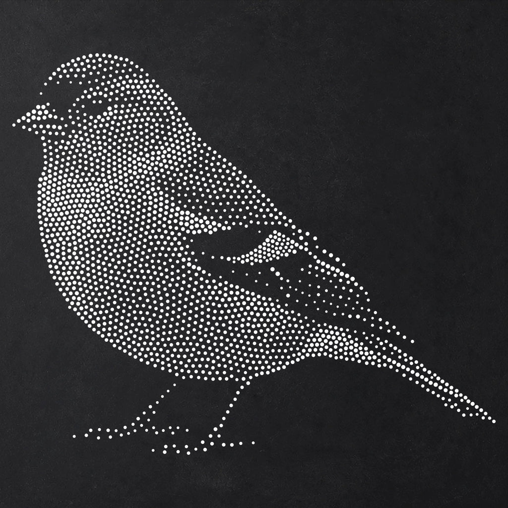 Chaffinch Bird reusable Mylar stencil