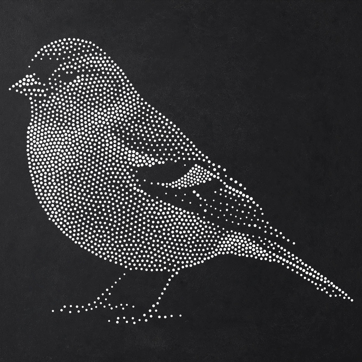 Chaffinch Bird reusable Mylar stencil