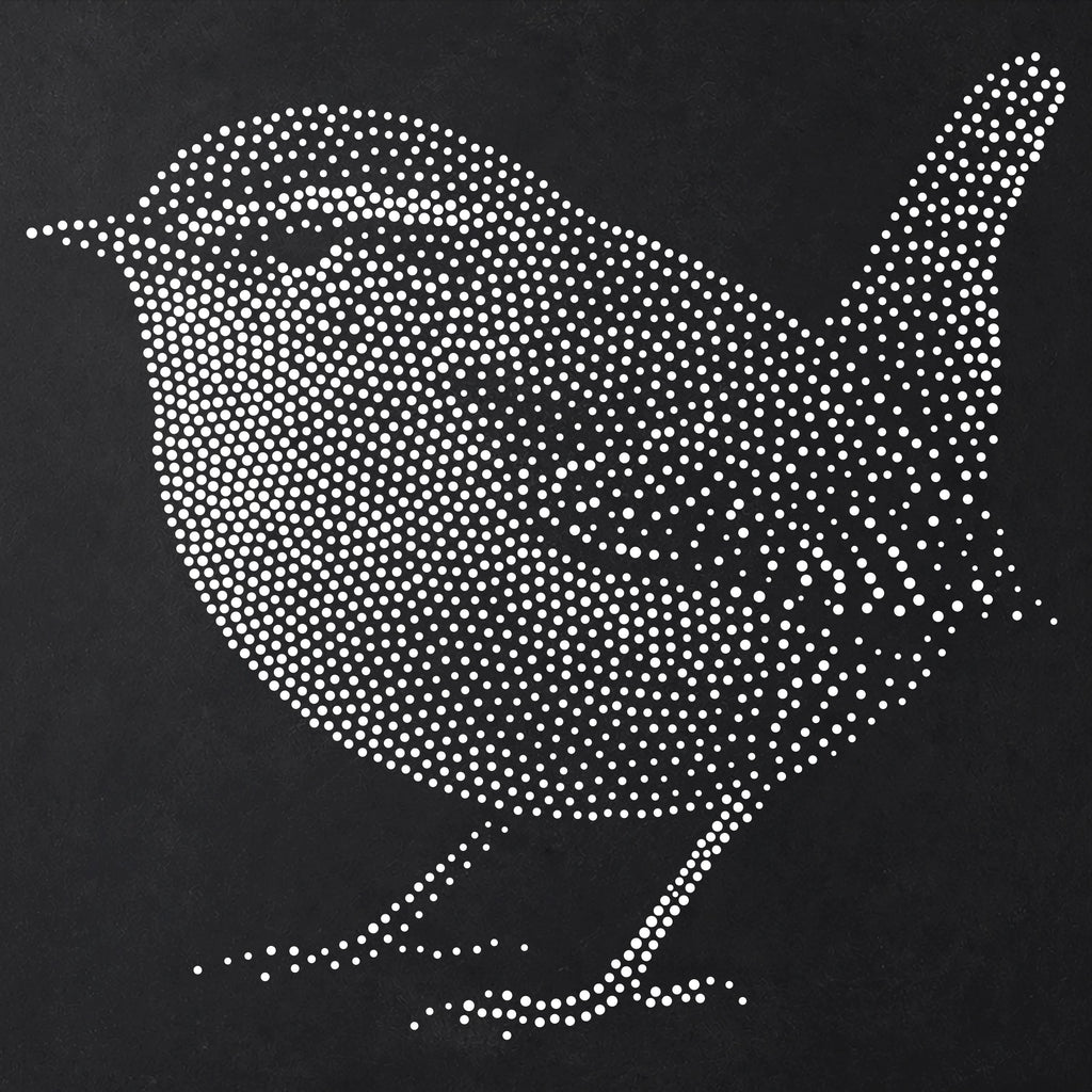 Wren Bird reusable Mylar stencil
