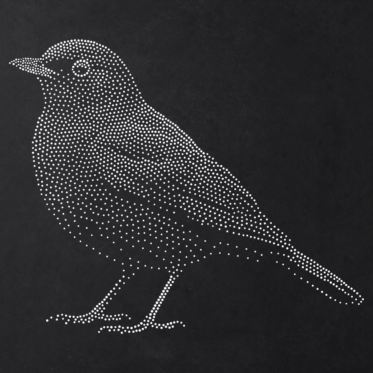 Blackbird Bird reusable Mylar stencil