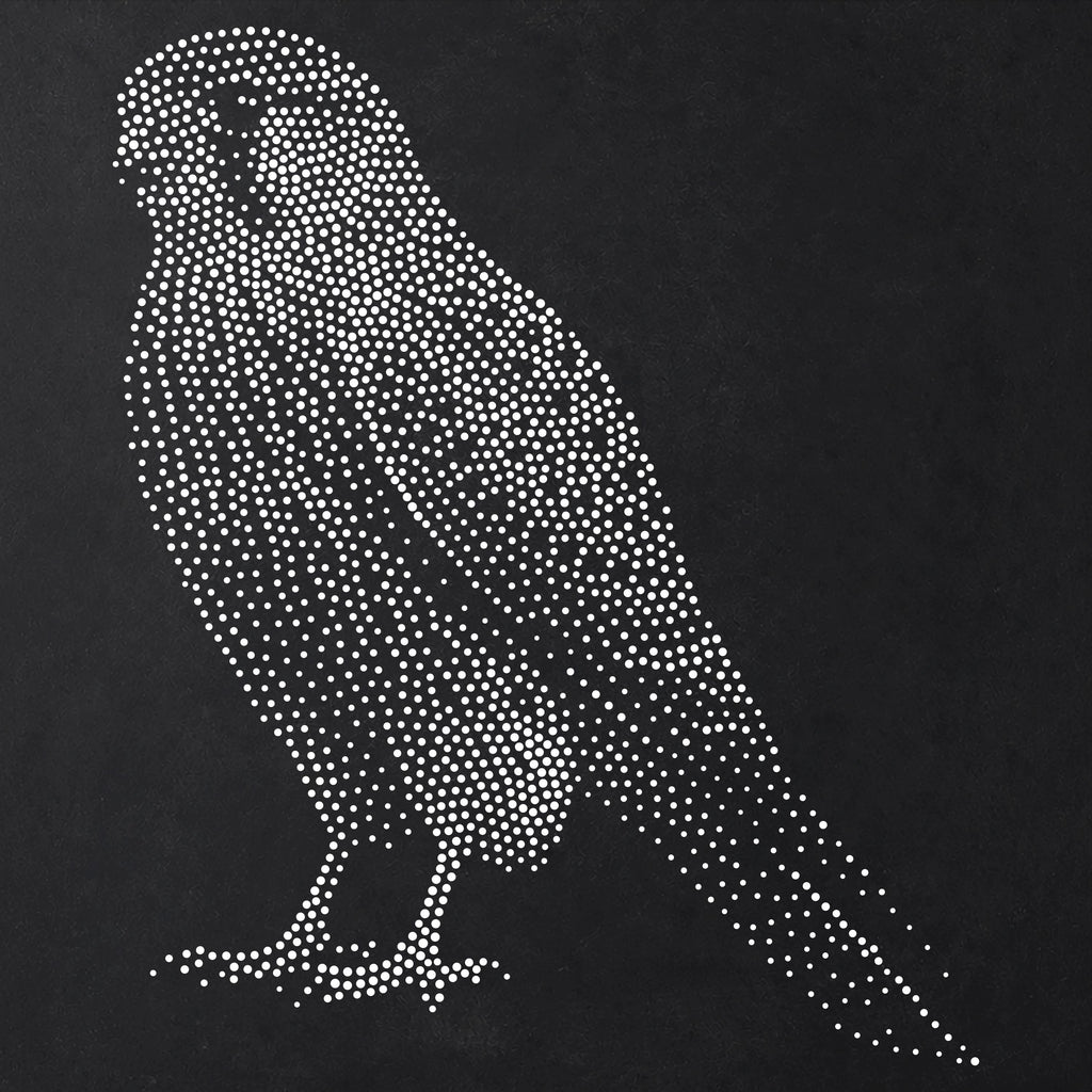 Kestrel Bird of Prey reusable Mylar stencil