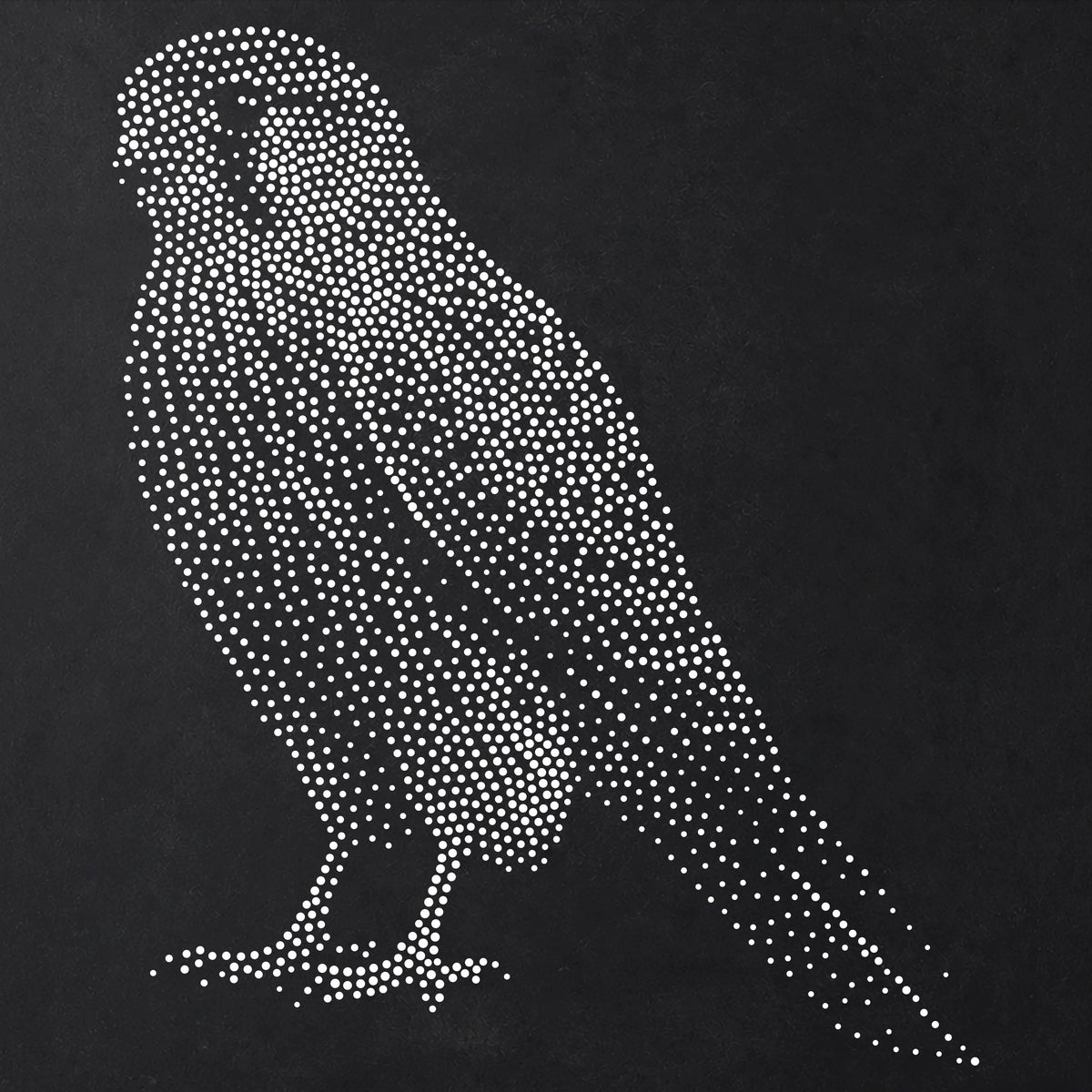 Kestrel Bird of Prey reusable Mylar stencil