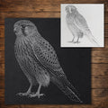 Kestrel Bird of Prey reusable Mylar stencil