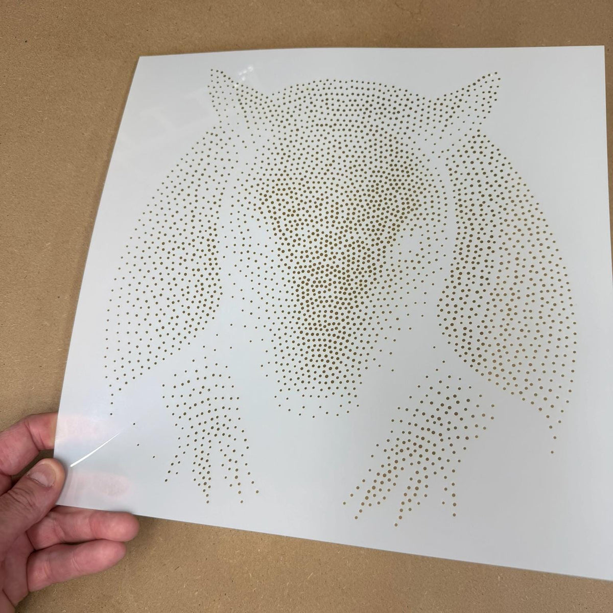 Armadillo reusable Mylar stencil