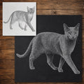 Russian Blue Cat reusable Mylar stencil